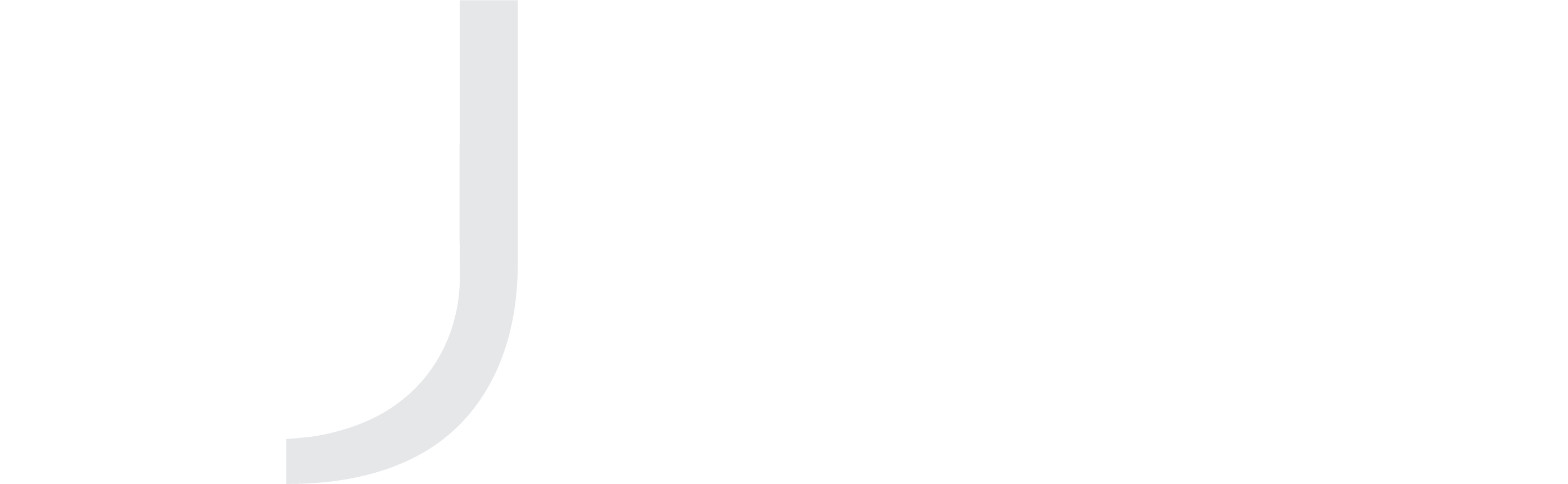 AJ Nehlig & Co. Ltd Logo